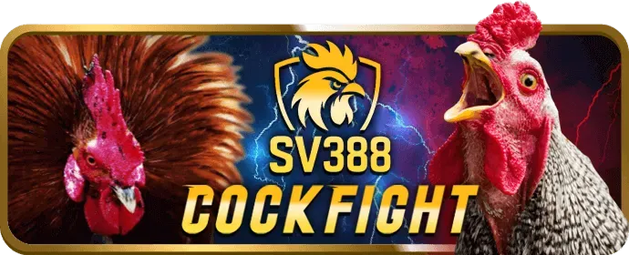 Hoàn trả hàng tuần Bigwin